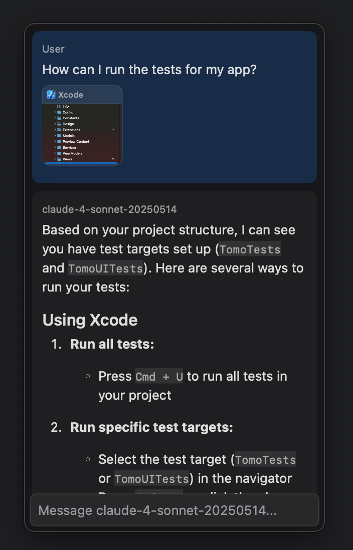 Screenshot showing how to run tests